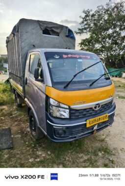 
										V10 2023 model full									